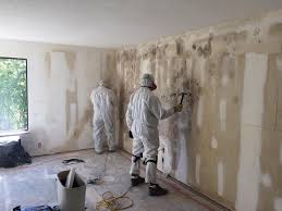 Forensic Mold Investigation in Windsor, VA